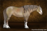 Horse Color:Liver Red Dun Sabino Splash