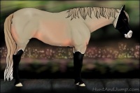 Horse Color:Watercolor Chestnut Splash 