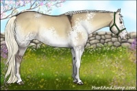 Horse Color:White Spotted Liver Red Dun Onyx Rabicano 