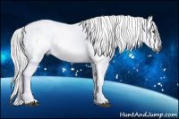 Horse Color:Gray Brown Dun Tobiano 