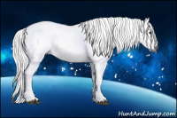 Horse Color:Gray Brown