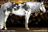 Horse Color:White Spotted Liver Chestnut Splash 