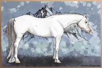 Horse Color:Liver Red Dun Near Fewspot 