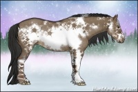 Horse Color:Liver Red Dun Sabino Frame Rabicano Brindle