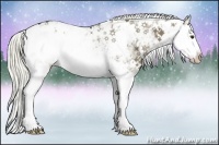 Horse Color:Liver Red Dun Sabino Rabicano