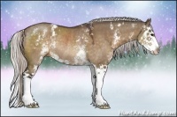 Horse Color:White Spotted Silver Bay Dun Sabino Splash Rabicano