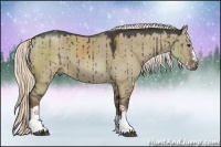 Horse Color:Liver Red Dun Sabino Splash Rabicano
