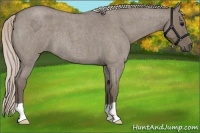 Horse Color:Silver Grullo Roan 