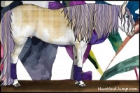 Horse Color:Painted Plaid  White Spotted Liver Red Dun Splash 