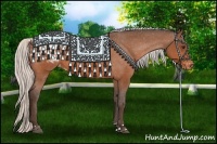 Horse Color:Silver Brown Appaloosa