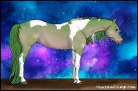 Horse Color:Watercolor Bay Tobiano 