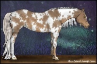 Horse Color:White Spotted Chocolate Palomino