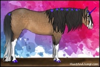 Horse Color:Brown Dun Sabino Splash 