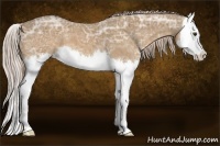 Horse Color:Palomino Ice Splash 