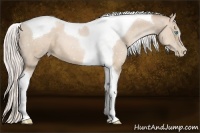 Horse Color:Silver Smoky Black Pearl Tobiano 