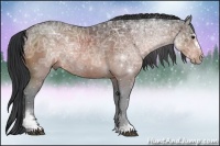 Horse Color:Brown Ice Sabino Rabicano 