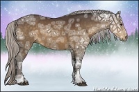 Horse Color:Silver Bay Ice Rabicano 