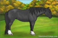 Horse Color:Blue Roan 