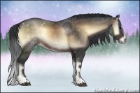 Horse Color:Brown Onyx Sabino Rabicano 