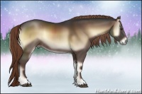 Horse Color:Liver Red Onyx Rabicano 