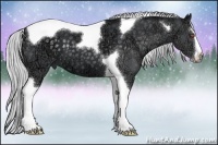 Horse Color:Silver Black Chinchilla Ice Sabino Tobiano 