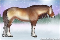 Horse Color:Chocolate Brown Onyx