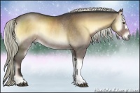 Horse Color:Liver Red Onyx Rabicano 