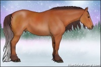 Horse Color:Chocolate Bay 