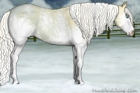 Horse Color:White Spotted Silver Classic Champagne Ice Pearl 