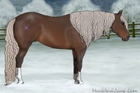 Horse Color:Silver Bay 