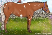 Horse Color:White Spotted Silver Bay 