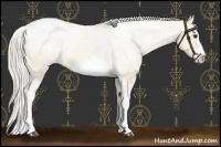 Horse Color:Silver Bay Dun Sabino Tobiano Frame Varnish Rabicano 