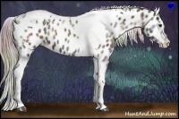 Horse Color:Nacre Chocolate Palomino Ice Onyx Tobiano Appaloosa 
