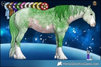 Horse Color:Watercolor Buckskin Ice Rabicano 
