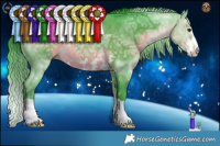 Horse Color:Watercolor Buckskin Ice Rabicano