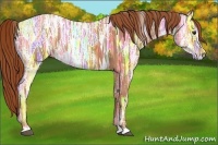 Horse Color:Chestnut Ice Rabicano 