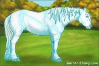 Horse Color:Thunderstruck Perlino Appaloosa Rabicano 