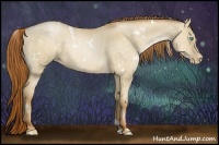 Horse Color:White Spotted Buckskin Pearl Dun 