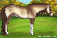 Horse Color:Red Onyx Rabicano 