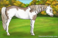 Horse Color:Liver Red Dun Splash Frame