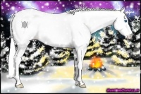 Horse Color:Silver Perlino Roan Dun Splash Tobiano 