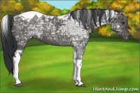 Horse Color:Black Ice Tobiano 