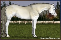 Horse Color:Liver Red Dun Onyx Sabino Splash Brindle 
