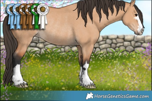 Horse Color:Brown Dun Rabicano 