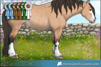 Horse Color:Brown Dun Rabicano