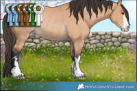Horse Color:Brown Dun Rabicano 