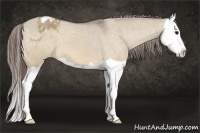 Horse Color:Bay Dun Splash Appaloosa 