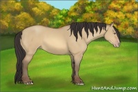 Horse Color:Amber Champagne Dun Sabino 