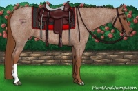 Horse Color:Red Roan 