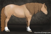 Horse Color:Bay Pearl 
